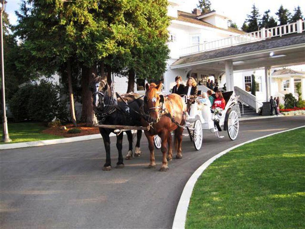 Crown Mansion Boutique Hotel & Villas 퀄리컴비치 외부 사진